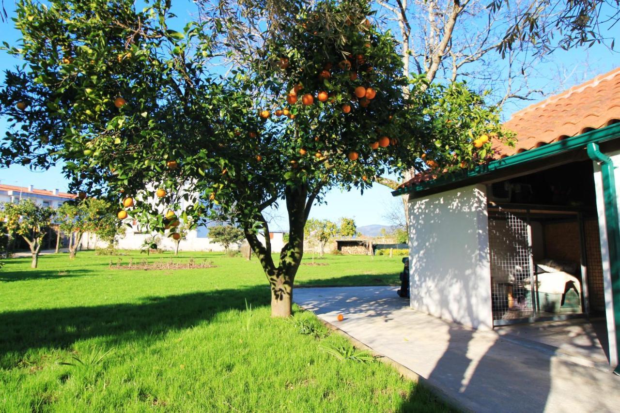 Willa Casa Dos Ouricos Ponte de Lima Zewnętrze zdjęcie